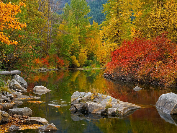 Fall_Lake_Background - Melissa Hartley